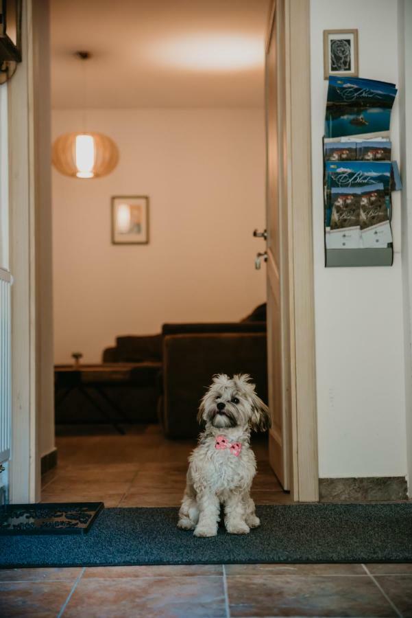 Goreljek Apartments Villa Vesna Pokljuka מראה חיצוני תמונה
